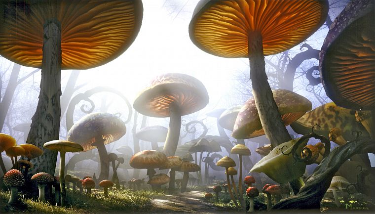fantasy, Alice in Wonderland - desktop wallpaper