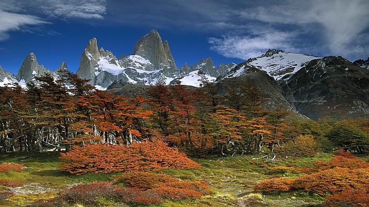 landscapes, trees, Argentina, beech, National Park, Mount - desktop wallpaper