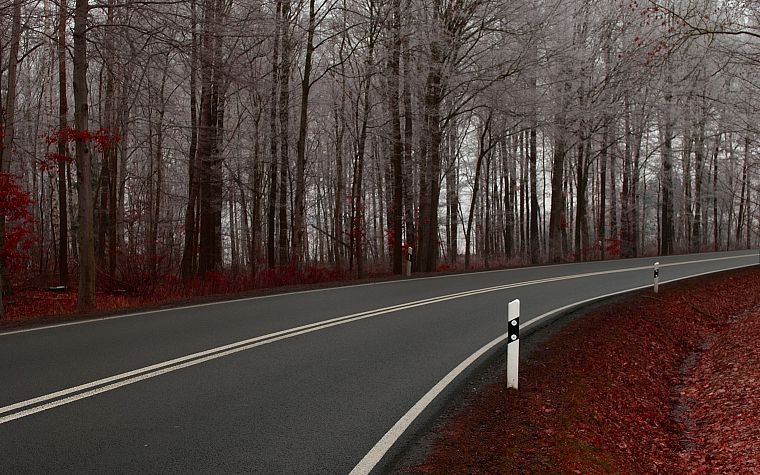 nature, autumn, forests, roads - desktop wallpaper