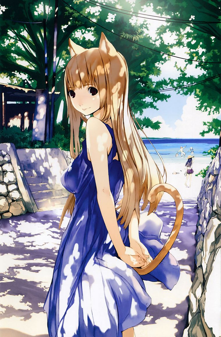 tails, dress, nekomimi, Asobi ni Iku yo!, anime girls, school swimsuits, Eris, bare shoulders - desktop wallpaper