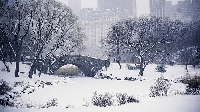 winter, snow, bridges, parks - desktop wallpaper