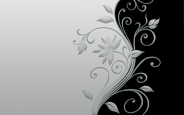 flowers, monochrome - desktop wallpaper