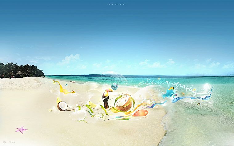 abstract, starfish, coconut, umbrellas, Desktopography, toucans, beaches - desktop wallpaper