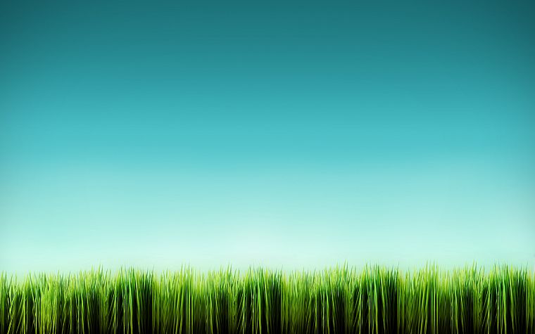 blue, minimalistic, grass - desktop wallpaper
