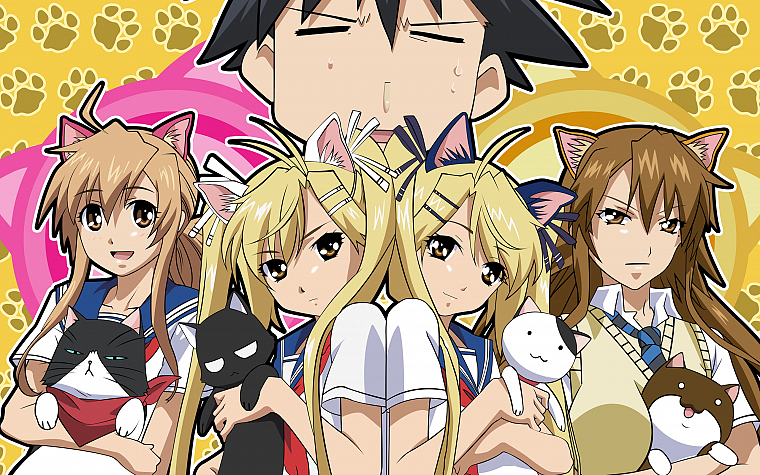 animal ears, Nyan Koi, Mizuno Kaede, Kousaka Junpei, Sumiyoshi Kanako, Kirishima Akari, Kirishima Kotone - desktop wallpaper