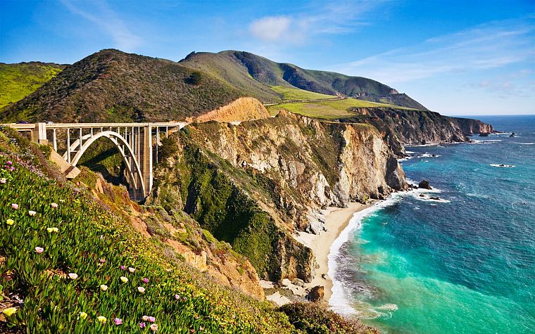 landscapes, coast, flowers, hills, bridges, USA, California, sea, big sur california - desktop wallpaper