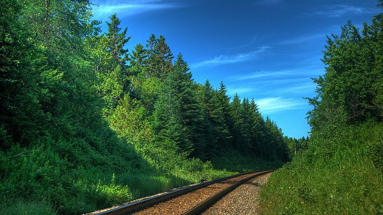 nature, forests, railroad tracks, railroads - desktop wallpaper