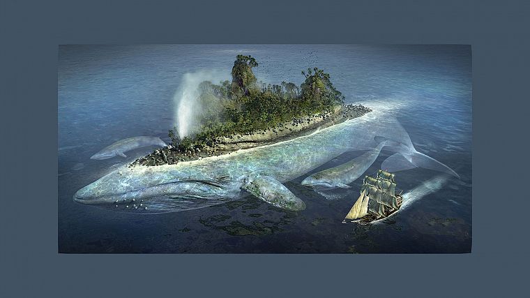 islands, whales - desktop wallpaper