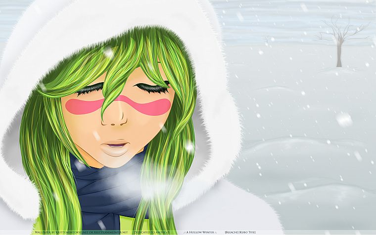 snow, Bleach, green hair, Espada, Nelliel Tu Odelschwanck, fur clothing - desktop wallpaper