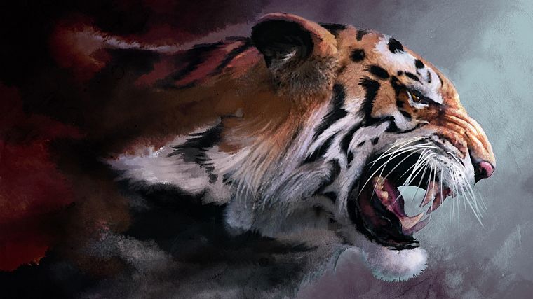 tigers, drawings - desktop wallpaper