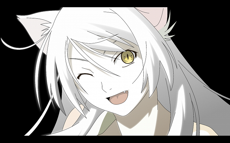 nekomimi, Bakemonogatari, transparent, animal ears, yellow eyes, Hanekawa Tsubasa, white hair, Monogatari series, anime vectors - desktop wallpaper
