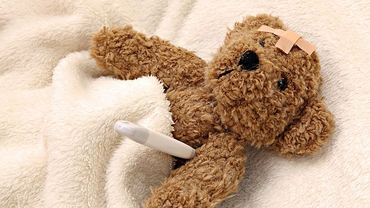 stuffed animals, teddy bears - desktop wallpaper