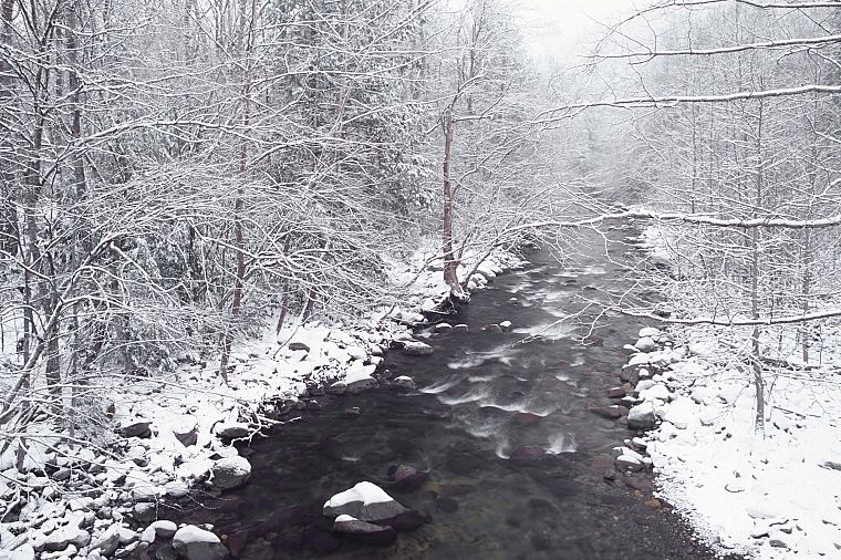 winter, snow, forests, streams - desktop wallpaper