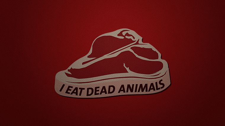 animals, meat, beef, carnivorous - desktop wallpaper