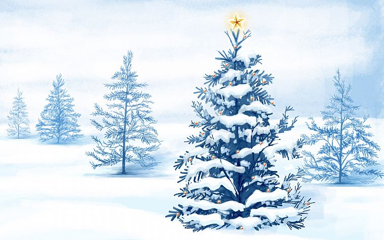 snow, Christmas, Christmas trees, holidays - desktop wallpaper