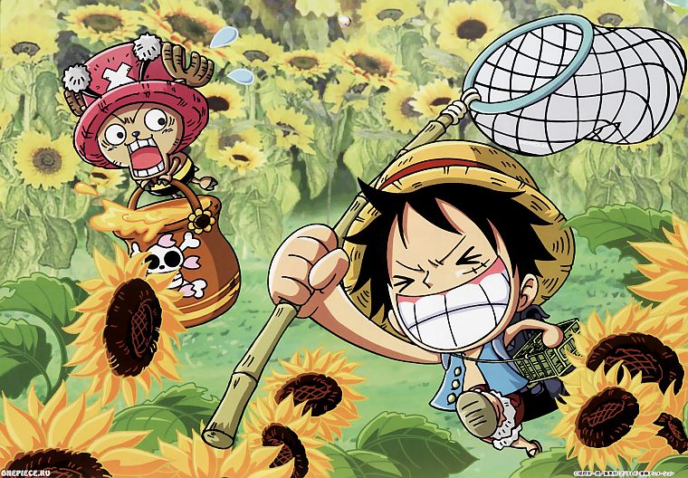One Piece (anime), chopper, Monkey D Luffy - desktop wallpaper