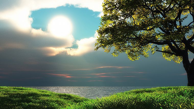 green, ocean, landscapes, nature, Sun, trees, grass, HDR photography, skyscapes, sea - desktop wallpaper