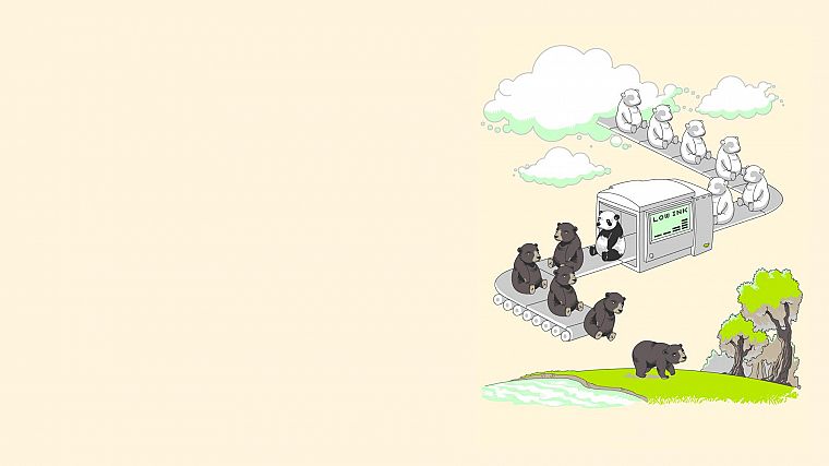 funny, panda bears, bears - desktop wallpaper