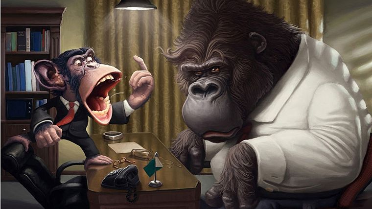 gorillas - desktop wallpaper