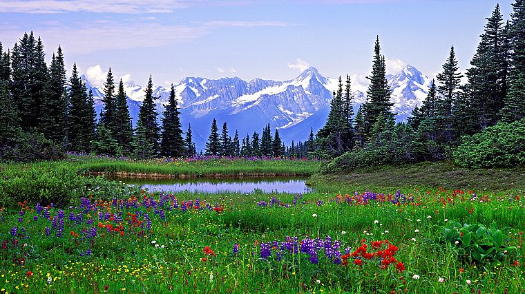 mountains, rocks, Colorado, British Columbia, Alps - desktop wallpaper