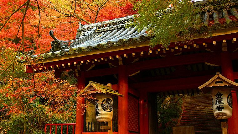 Japan, trees, autumn, houses - desktop wallpaper