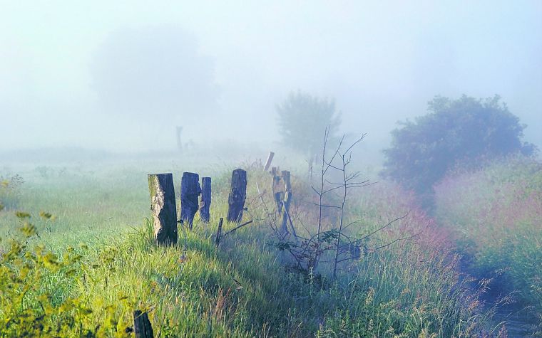 landscapes, nature, mist, morning - desktop wallpaper