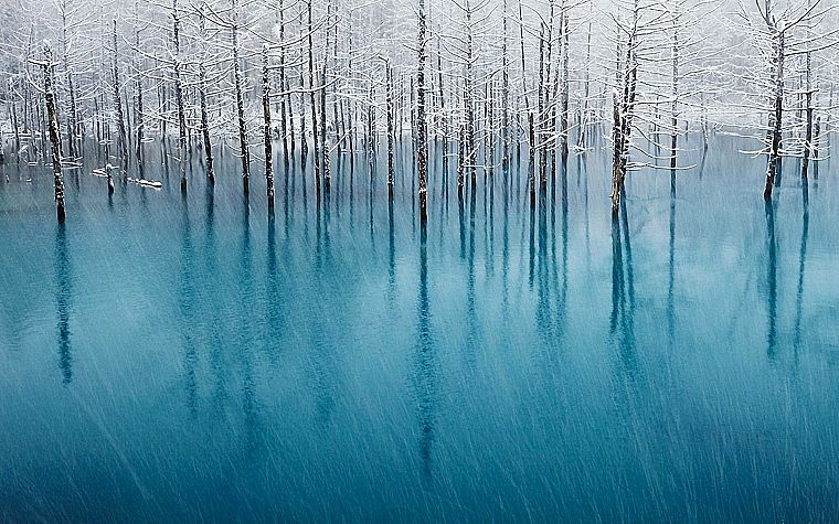 landscapes, winter, HDR photography - desktop wallpaper