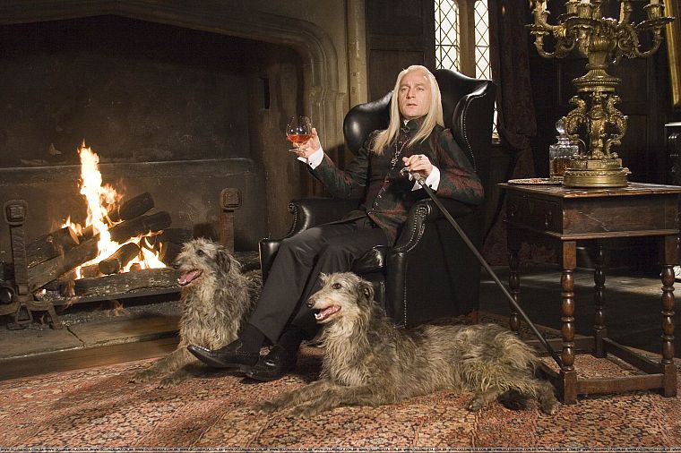 dogs, Harry Potter, Jason Isaacs, Lucius Malfoy, Death Eaters, fireplaces - desktop wallpaper