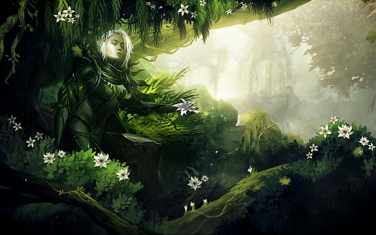 video games, nature, Guild Wars, fantasy art, artwork - desktop wallpaper