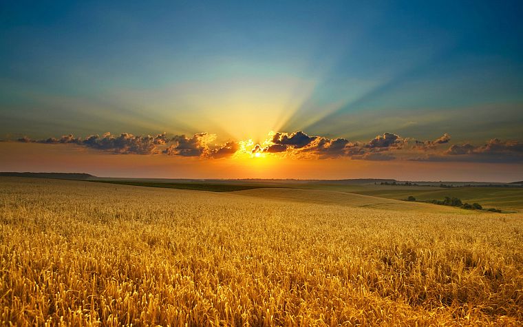 sunset, clouds, landscapes, nature, fields, sunlight - desktop wallpaper