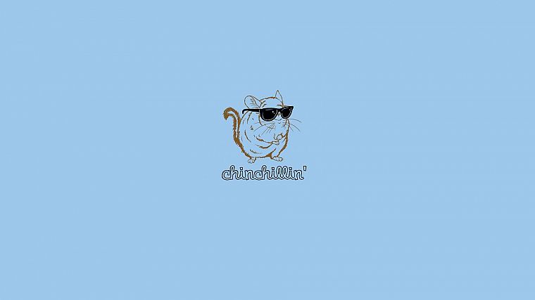 minimalistic, glasses, funny, sunglasses, Chinchilla, blue background - desktop wallpaper