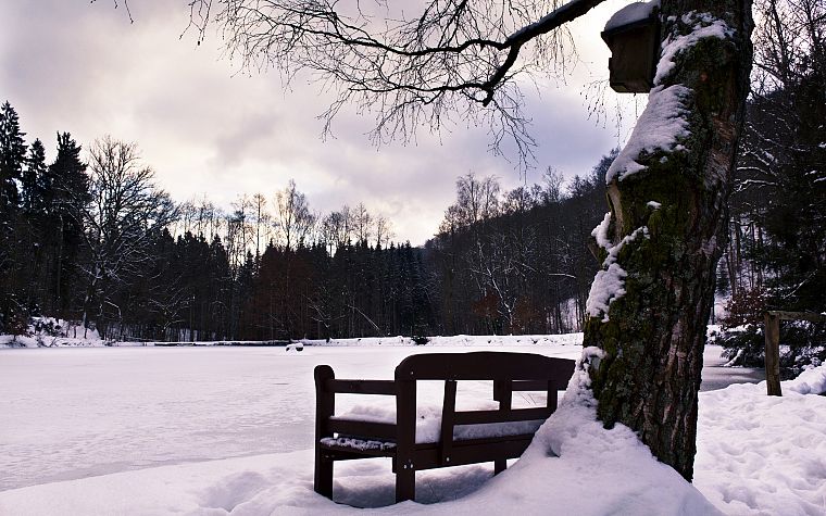 winter, bench, snow landscapes - desktop wallpaper