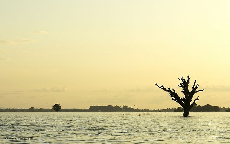 landscapes, trees, silhouettes, lonely, travel, lakes, Myanmar - desktop wallpaper
