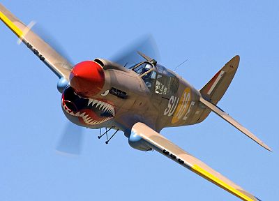 aircraft, military, World War II, P40 Warhawk - desktop wallpaper