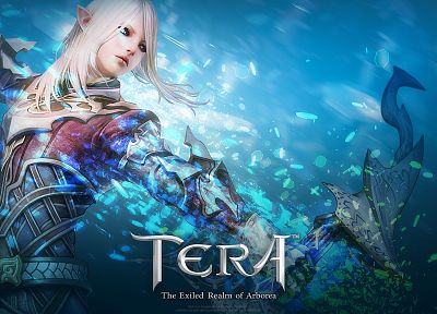 archers, Tera, MMORPG, High Elf - random desktop wallpaper