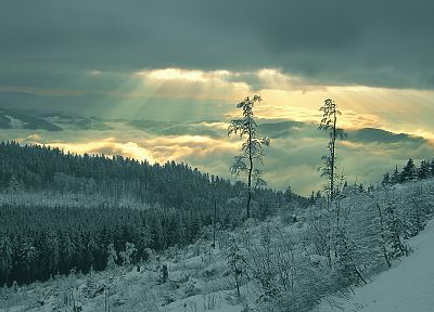 mountains, clouds, landscapes, nature, snow, Sun, trees, forests, clearcut - related desktop wallpaper