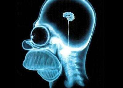 skulls, Homer Simpson, brain, The Simpsons, X-Ray - desktop wallpaper