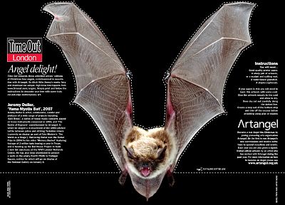 text, mammals, bats - random desktop wallpaper