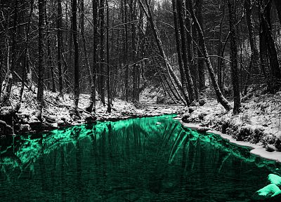 green, nature, forests, outdoors, selective coloring, rivers - desktop wallpaper