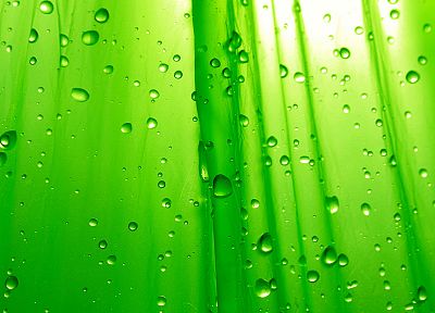 green, water drops - random desktop wallpaper