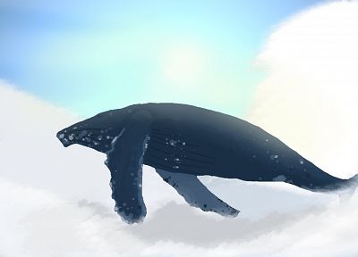 whales - related desktop wallpaper