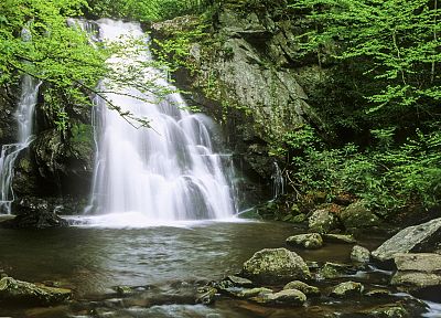 mountains, Tennessee, spruce, waterfalls - desktop wallpaper