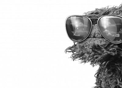 muppet, Oscar the Grouch - random desktop wallpaper