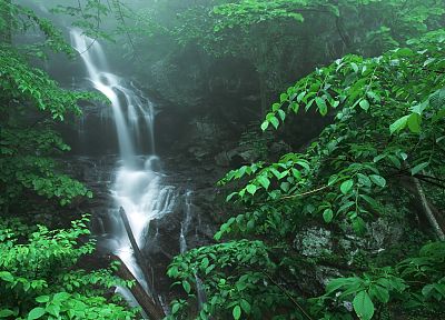 falls, rivers, National Park, shenandoah - desktop wallpaper
