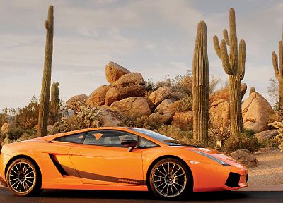 cars, orange, Lamborghini, vehicles, Lamborghini Gallardo, orange cars, italian cars - related desktop wallpaper