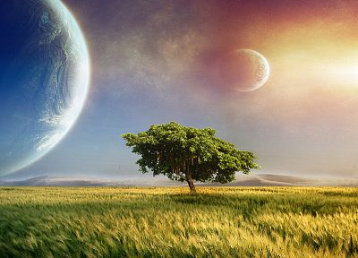 nature, outer space, trees, planets, grass, science fiction - related desktop wallpaper