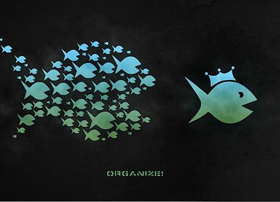 Big Fish - random desktop wallpaper