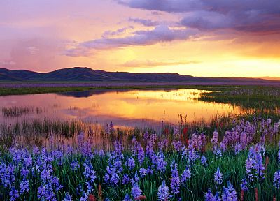 sunset, mountains, clouds, landscapes, flowers, meadows, swamp - desktop wallpaper