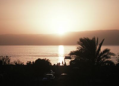 sunset, ocean, palm trees, beaches - desktop wallpaper