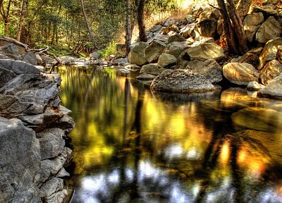 nature, forests, woods, streams, HDR photography - desktop wallpaper